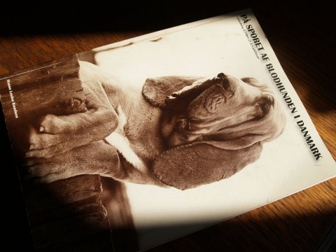 På sporet af blodhunden i Danmark Blodhundebogen